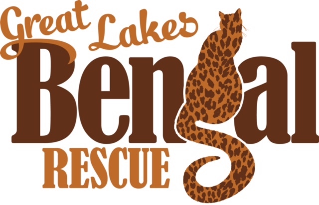 Great Lakes Bengal Rescue