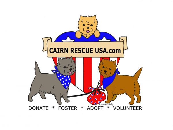 Cairn Rescue USA- Central and Midwest