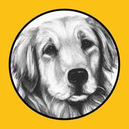As Good as Gold-Golden Retriever Rescue of Illinois
