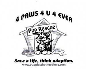 4 Paws 4 U 4 Ever