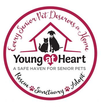 Young at Heart logo