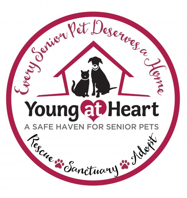 Young At Heart - Senior Pet Adoptions
