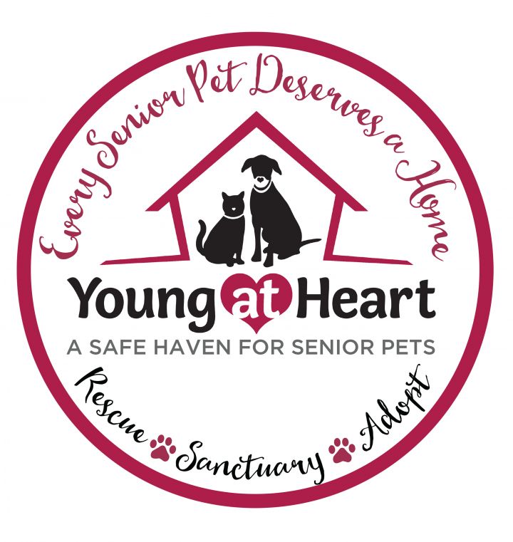 Young at Heart logo