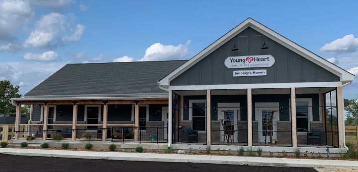 Young at Heart's adoption center in Woodstock IL