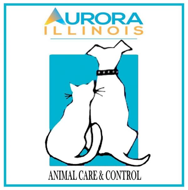 Aurora IL Animal Care and Control