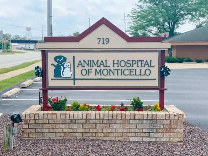 monticello animal hospital illinois