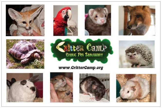 Critter Camp Exotic Pet Sanctuary