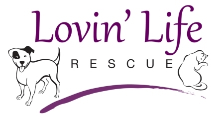 Lovin' Life Rescue