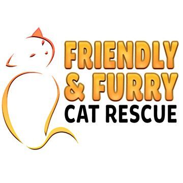 Adoption at Friendly \u0026 Feral Cat Rescue 