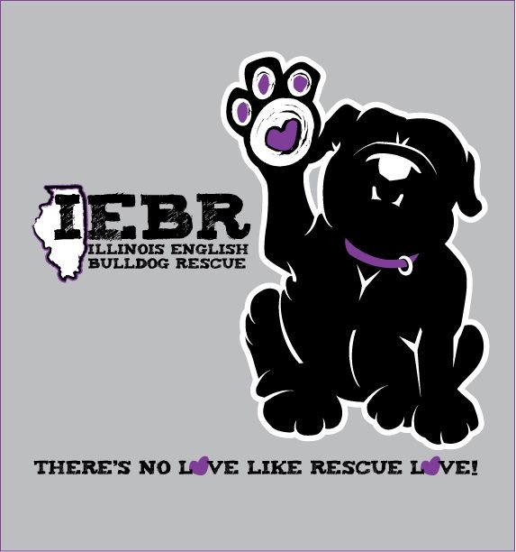 Illinois English Bulldog Rescue