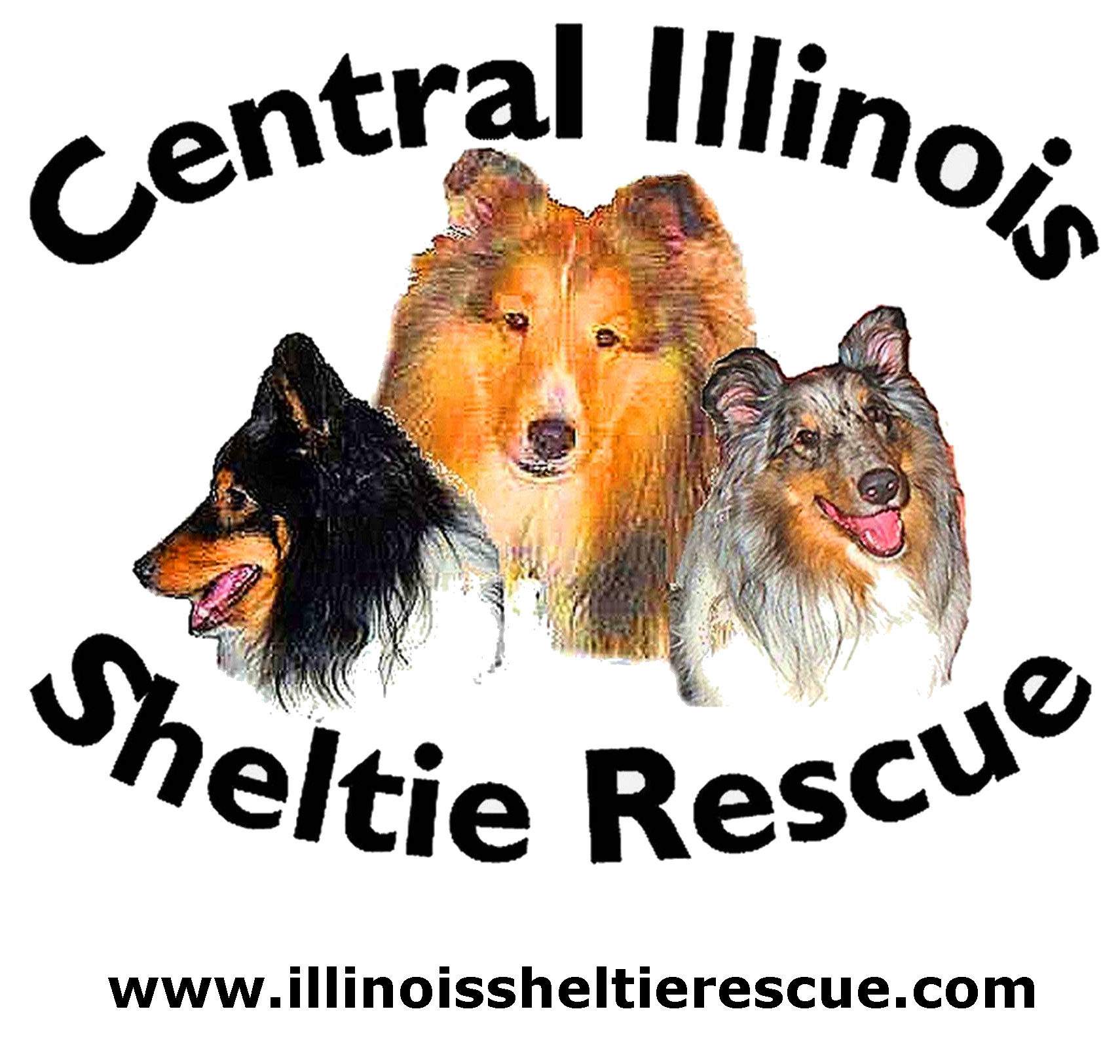 Central Illinois Sheltie Rescue