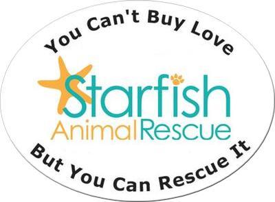 Pets for Adoption at Starfish Animal Rescue, in Plainfield, IL | Petfinder