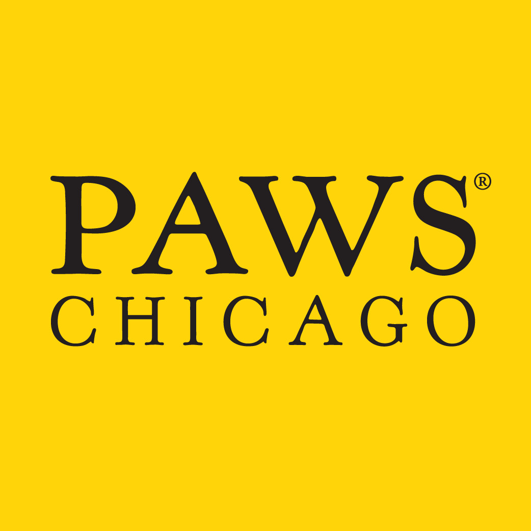 Adopt a Cat  PAWS Chicago