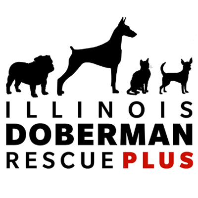 Illinois Doberman Rescue Plus