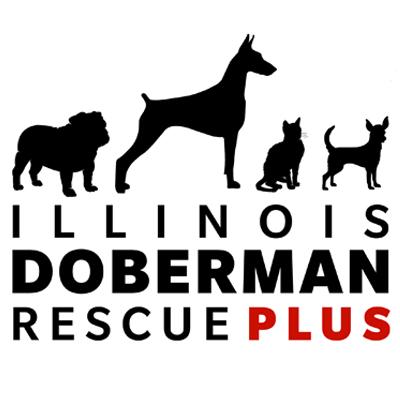 Illinois Doberman Rescue Plus