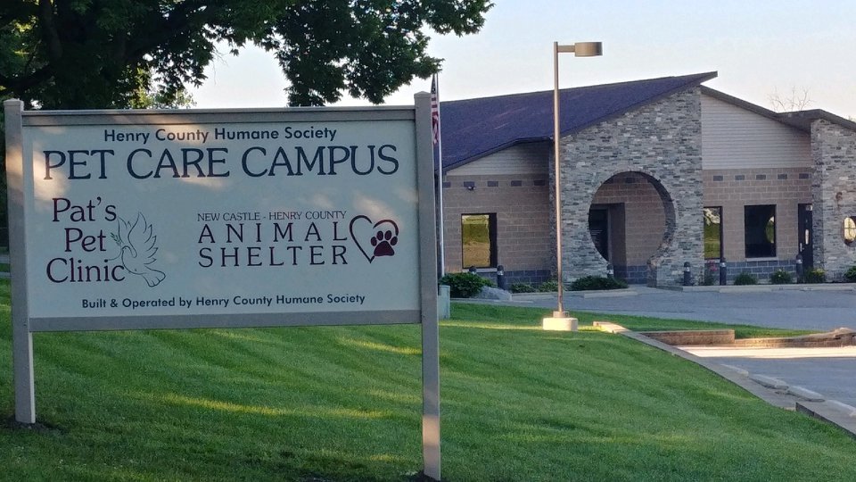 Henry County Va Animal Control Animal Services