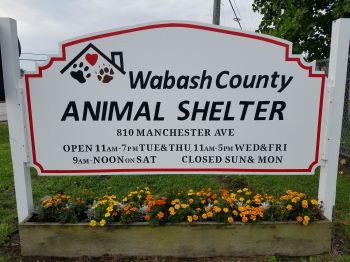 animal shelter sign