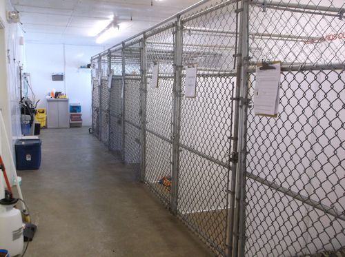 Dog Kennels