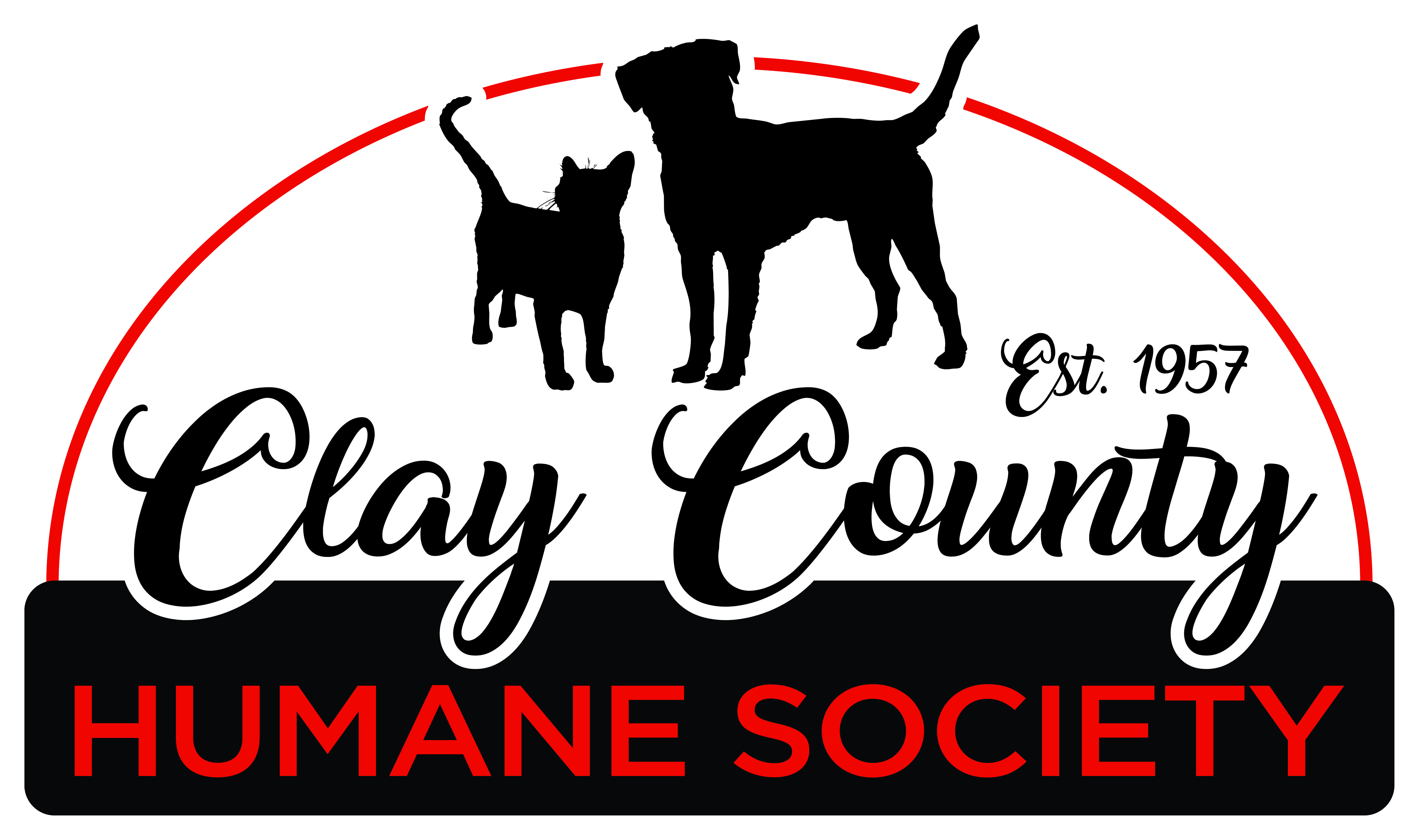 Pets For Adoption At Clay County Humane Society In Brazil In Petfinder