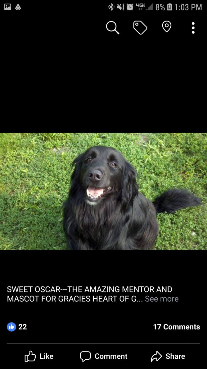 GRACIES H.E.A.R.T. OF GOLD