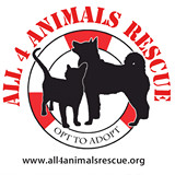 All 4 Animal Rescue