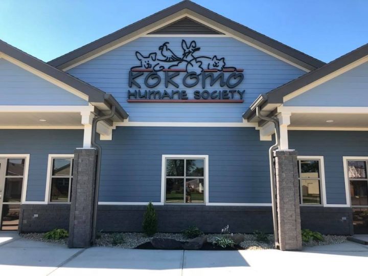 Pets for Adoption at Kokomo Humane Society, in Kokomo, IN Petfinder