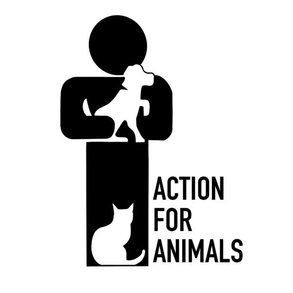 Action For Animals