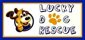 Lucky Dog Rescue