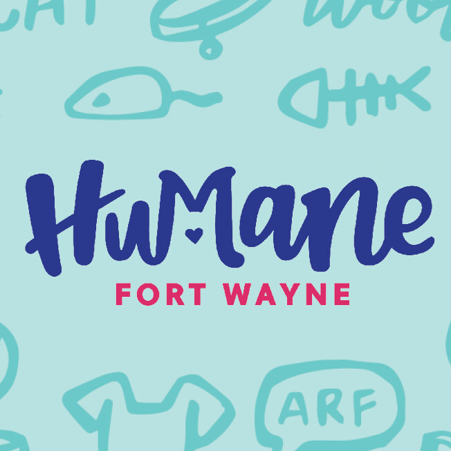 Pets For Adoption At Humane Fort Wayne In Fort Wayne In Petfinder