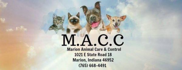 Marion Animal Care and Control