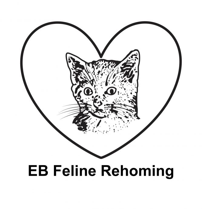 EB Feline Rehoming