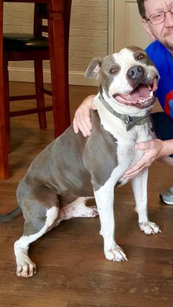 Bruno II of Southern IN Rescue Effort