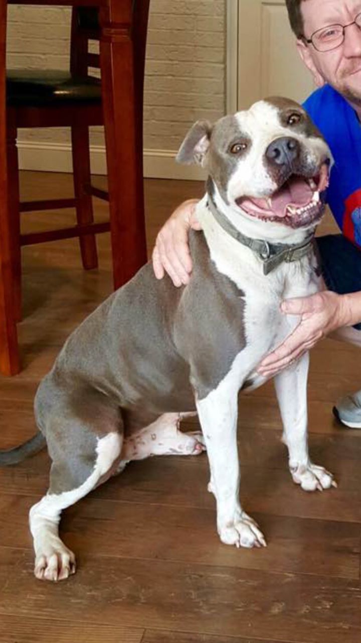 Bruno II of Southern IN Rescue Effort