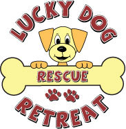 Lucky Dog 5K - Indianapolis