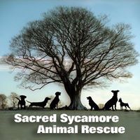 Sacred Sycamore Animal Rescue