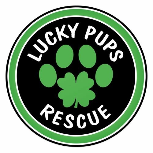 Lucky Pups Rescue, inc.