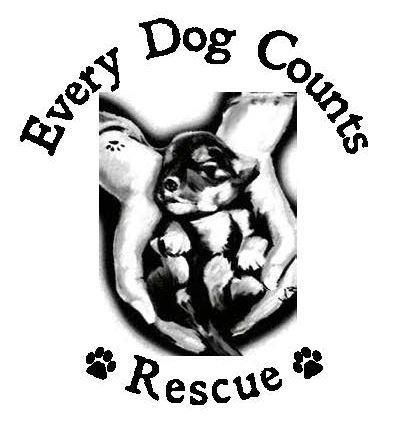 Every Dog Counts Rescue