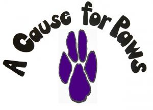 A Cause For Paws