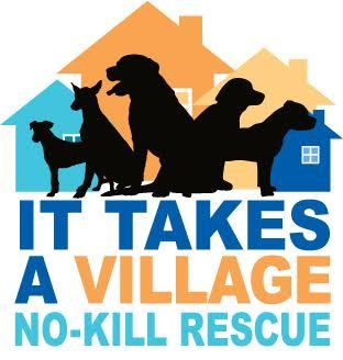 It Takes A Village No-Kill Rescue, Inc.