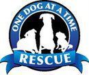 One Dog at a Time Rescue