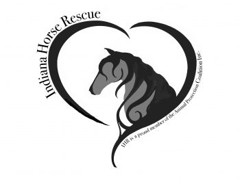 Indiana Horse Rescue