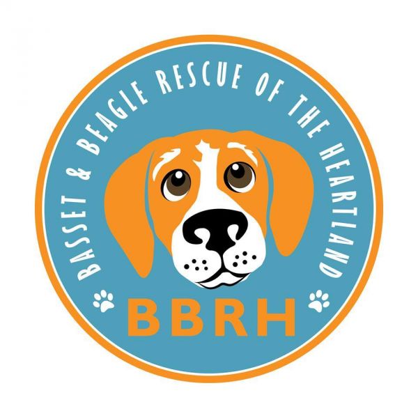 Basset and Beagle Rescue of the Heartland
