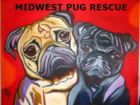 Midwest Pug Rescue