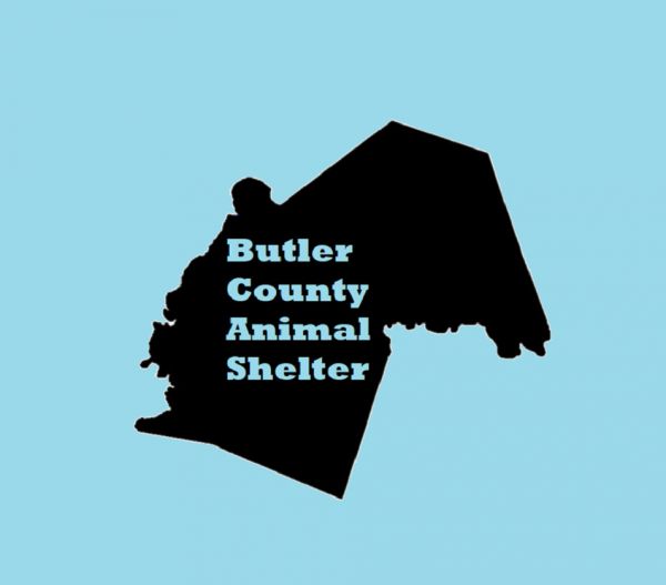 Butler County Animal Shelter KY