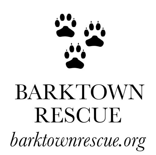 Barktown Rescue