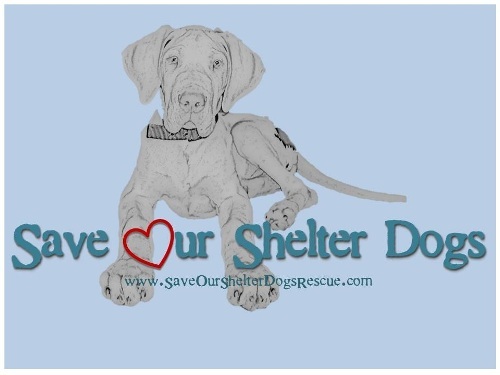 Save Our Shelter Dogs