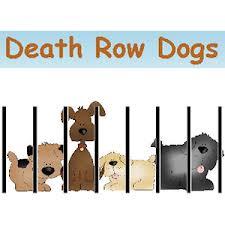 Death Row Dogs