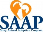SAAP logo