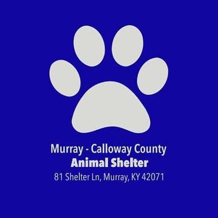 Murray/Calloway County Animal Shelter