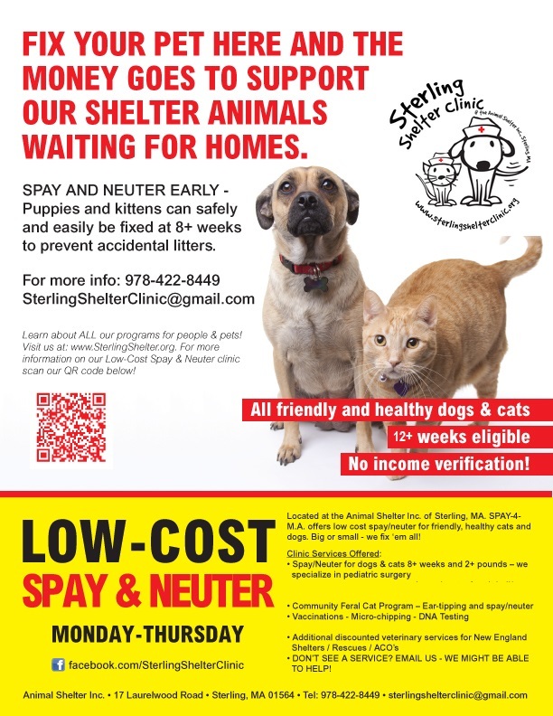 Our spay/neuter clinic